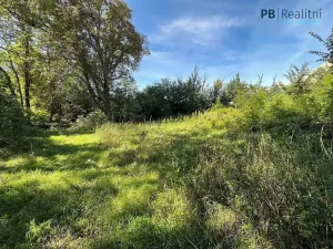 Prodej pozemku pro bydlení, Ledce, 9180 m2