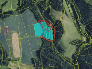Prodej lesa, Jedlí, 10342 m2