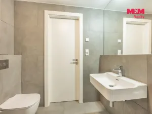 Pronájem bytu 1+kk, Praha - Michle, Hodonínská, 34 m2
