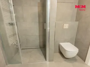 Pronájem bytu 1+kk, Praha - Michle, Hodonínská, 34 m2