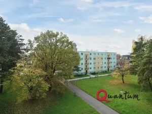 Pronájem bytu 2+1, Kladno, Brjanská, 49 m2