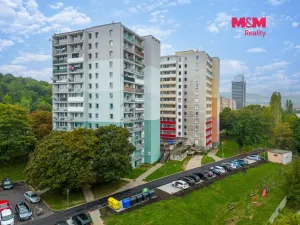 Prodej bytu 1+kk, Most, Brněnská, 34 m2