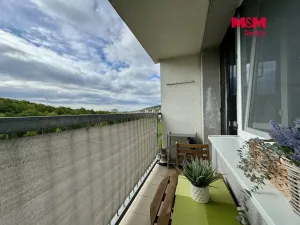 Prodej bytu 1+kk, Most, Brněnská, 34 m2
