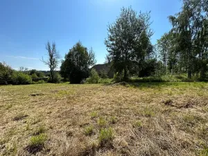 Prodej pozemku pro bydlení, Horní Planá, 4593 m2