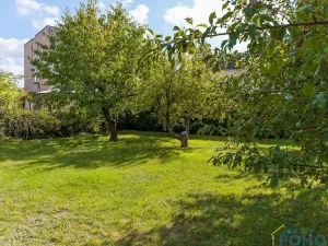 Prodej rodinného domu, Opočno, Palackého, 150 m2