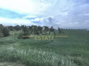 Prodej pole, Uherský Ostroh, 552 m2