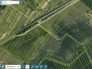 Prodej sadu/vinice, Lužice, 3039 m2