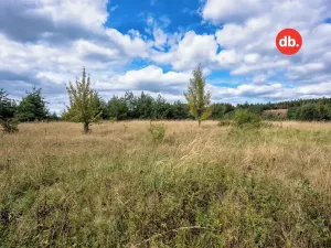 Prodej pozemku pro bydlení, Sadov, 3921 m2