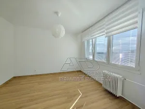 Pronájem bytu 1+1, České Budějovice, Budivojova, 49 m2