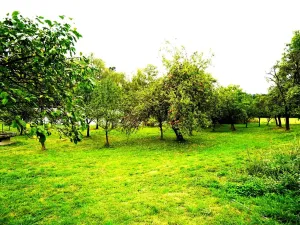Prodej rodinného domu, Fulnek, 220 m2