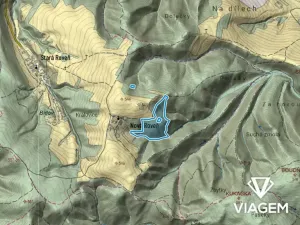 Prodej podílu lesa, Městečko Trnávka, 3234 m2
