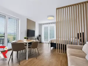 Prodej bytu 1+kk, Pasohlávky, 41 m2