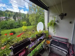 Prodej podílu bytu 3+1, Český Krumlov, Sídliště Plešivec, 75 m2