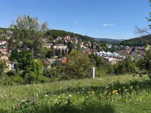 Prodej pozemku pro bydlení, Luhačovice, Masarykova, 1834 m2