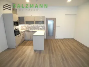Pronájem bytu 3+kk, Plzeň, Rokycanská, 79 m2