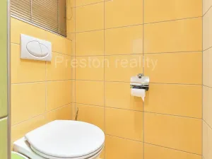 Prodej bytu 1+kk, Písek, 17. listopadu, 19 m2