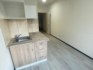 Pronájem bytu 1+kk, Praha - Hlubočepy, Na Zlíchově, 17 m2