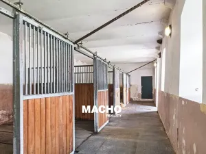 Prodej zemědělské usedlosti, Žďár, 181 m2