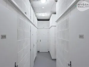 Pronájem bytu 3+kk, Praha - Chodov, Drahňovická, 80 m2