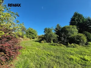 Prodej vícegeneračního domu, Letovice, Pražská, 330 m2