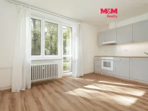 Pronájem bytu 1+kk, Ostrava - Poruba, 27 m2