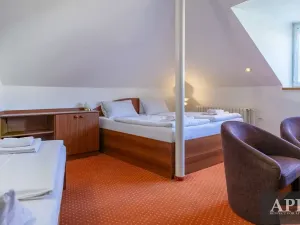 Prodej restaurace, Luhačovice, Masarykova, 420 m2