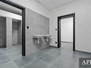 Pronájem skladu, Veselí nad Moravou, 2000 m2