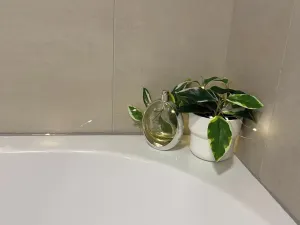 Pronájem bytu 2+kk, Brno, Porhajmova, 55 m2
