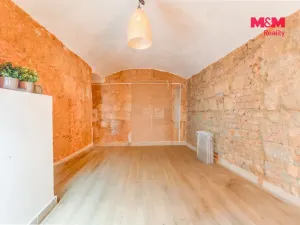 Pronájem obchodního prostoru, Plzeň - Východní Předměstí, Radyňská, 109 m2