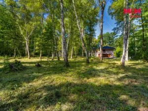 Prodej pozemku pro bydlení, Hradištko, 3825 m2