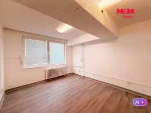 Prodej komerční nemovitosti, Bechyně, Písecká, 16 m2