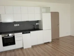 Pronájem bytu 1+kk, Brno, Vranovská, 49 m2