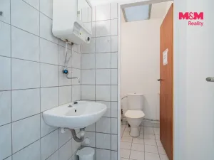 Pronájem obchodního prostoru, České Budějovice - České Budějovice 2, České Vrbné, 210 m2