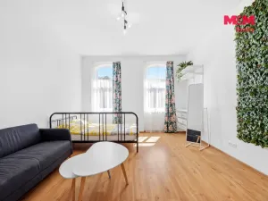 Prodej činžovního domu, Ústí nad Labem - Klíše, Masarykova, 670 m2