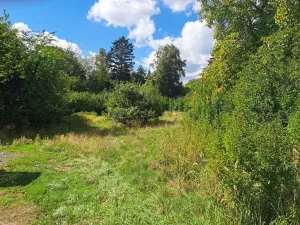 Prodej pozemku, Nemojov - Nový Nemojov, 3619 m2