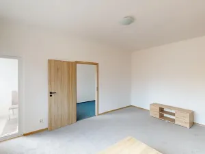 Pronájem bytu 2+1, Brno, Náplavka, 48 m2