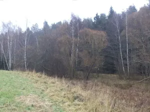 Dražba louky, Vyšší Brod, 919 m2