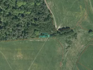 Dražba louky, Vyšší Brod, 919 m2
