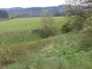 Dražba louky, Mosty u Jablunkova, 1105 m2