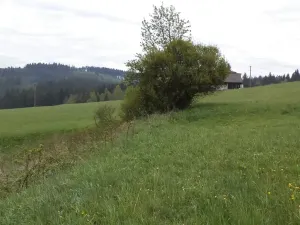 Dražba louky, Mosty u Jablunkova, 1105 m2