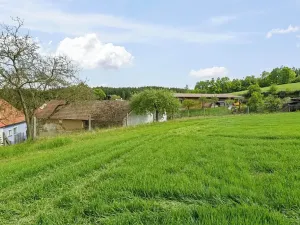 Prodej rodinného domu, Řemíčov, 92 m2