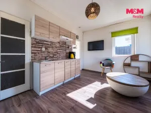 Prodej obchodního prostoru, Nová Ves - Vepřek, 600 m2