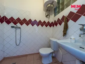 Prodej obchodního prostoru, Nová Ves - Vepřek, 600 m2