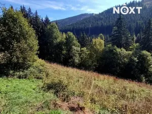 Prodej pozemku pro bydlení, Pec pod Sněžkou, 4273 m2