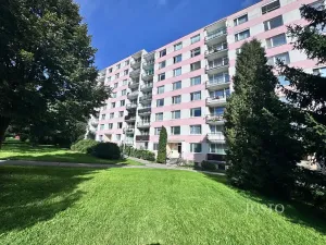 Prodej bytu 1+kk, Ústí nad Labem, SNP, 20 m2