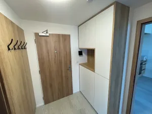 Pronájem bytu 2+kk, Brno, třída Generála Píky, 50 m2