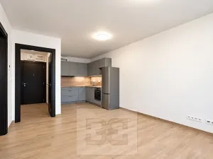 Pronájem bytu 2+kk, České Budějovice, Generála Klapálka, 55 m2