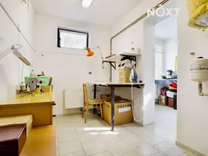 Prodej rodinného domu, Lužec nad Vltavou, Šmeralova, 184 m2