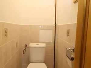 Pronájem bytu 2+1, Ostrov, Mánesova, 58 m2