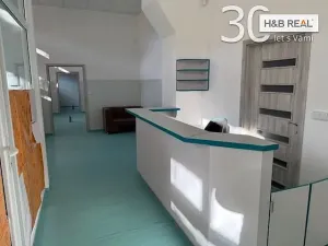 Pronájem obchodního prostoru, Vsetín, 200 m2